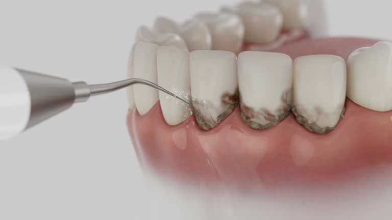Reliable Dental contractor in Polson, MT by Dentist Open Now